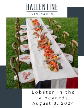 Lobster Dinner in the Vineyards 1