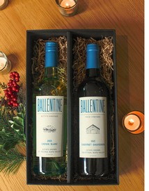 The Best of Both Worlds